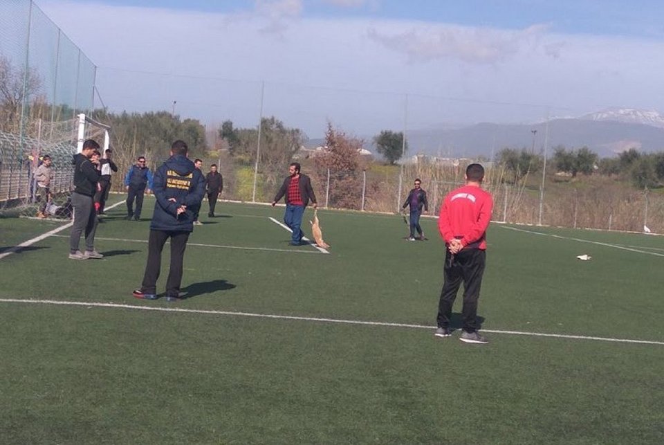 Φρίκη σε γήπεδο της Αχαΐας: Πυροβόλησαν και σκότωσαν σκυλιά στον αγωνιστικό χώρο [εικόνα] | iefimerida.gr 0