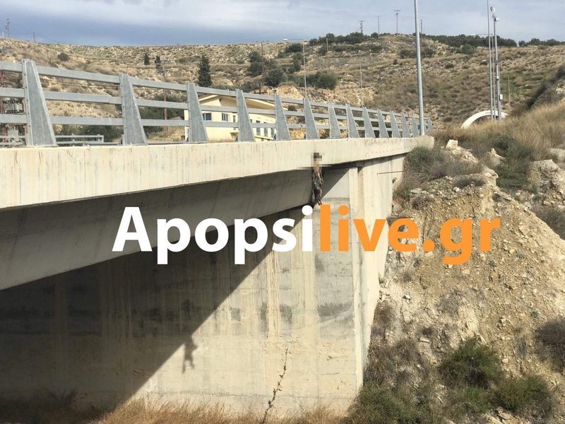 Νέα κτηνωδία στην Κρήτη: Κρέμασαν σκύλο σε γέφυρα [σκληρές εικόνες] | iefimerida.gr 0