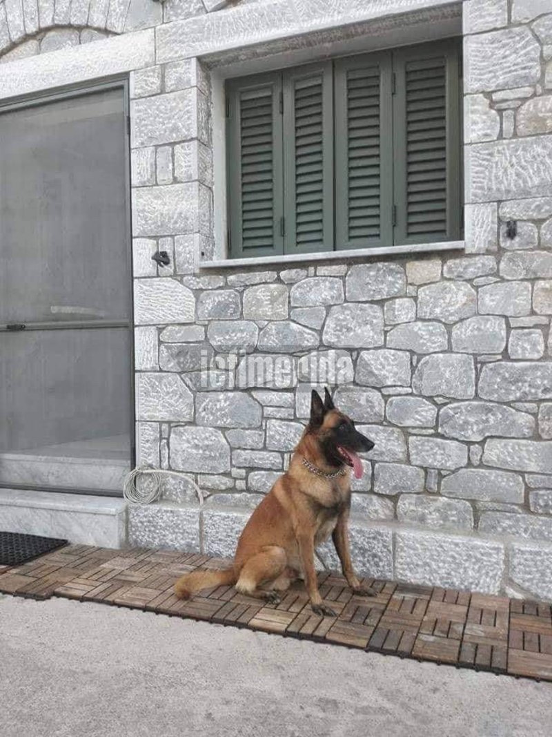 Ο Κανέλλος έχει εντοπίσει ναρκωτικά στα πιο απίθανα σημεία