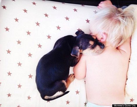 Η ιστορία αγάπης και... ύπνου ενός μωρού και ενός σκύλου που «έλιωσε» το Ιντερνετ [εικόνες] | iefimerida.gr 0