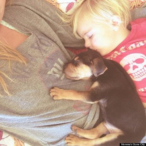 Η ιστορία αγάπης και... ύπνου ενός μωρού και ενός σκύλου που «έλιωσε» το Ιντερνετ [εικόνες] | iefimerida.gr 10