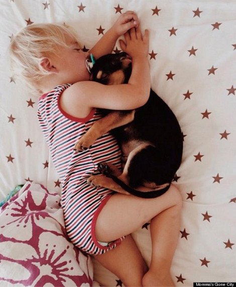 Η ιστορία αγάπης και... ύπνου ενός μωρού και ενός σκύλου που «έλιωσε» το Ιντερνετ [εικόνες] | iefimerida.gr 1