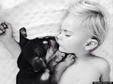 Η ιστορία αγάπης και... ύπνου ενός μωρού και ενός σκύλου που «έλιωσε» το Ιντερνετ [εικόνες] | iefimerida.gr 2