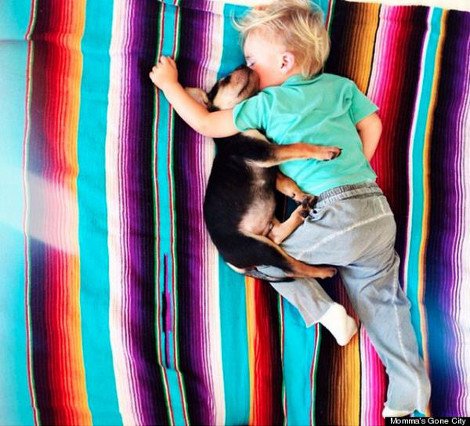 Η ιστορία αγάπης και... ύπνου ενός μωρού και ενός σκύλου που «έλιωσε» το Ιντερνετ [εικόνες] | iefimerida.gr 4