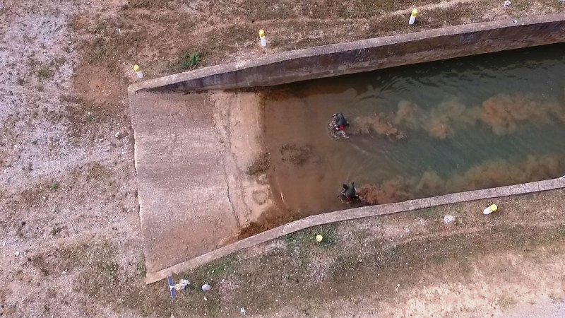 Εντυπωσιακές εικόνες: Στρατιωτικοί σκύλοι εν δράσει -Σε άσκηση που έγινε για πρώτη φορά | iefimerida.gr 1