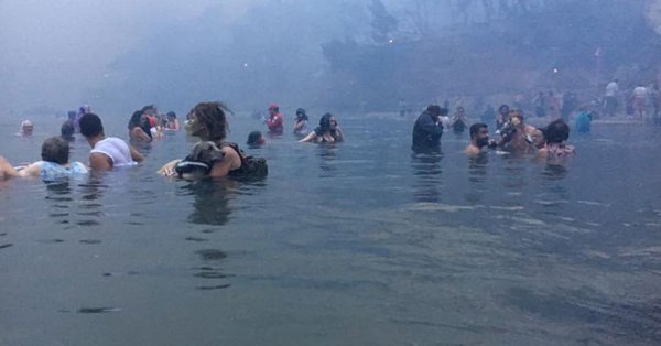 Φωτιά στο Μάτι: Η συγκινητική ιστορία της Κατερίνας και του τρίποδου σκύλου της | iefimerida.gr 0
