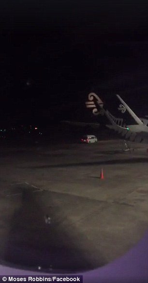 Nέα Ζηλανδία: Η αστυνομία σκότωσε σκύλο που εμπόδιζε την απογείωση αεροπλάνων [εικόνες] | iefimerida.gr 1