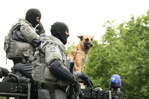 Στους δρόμους των Βρυξελλών οι ειδικές δυνάμεις της CGSU: «Εμείς πιάνουμε πάντα τους τρομοκράτες ζωντανούς» [εικόνες & βίντεο]  | iefimerida.gr 5