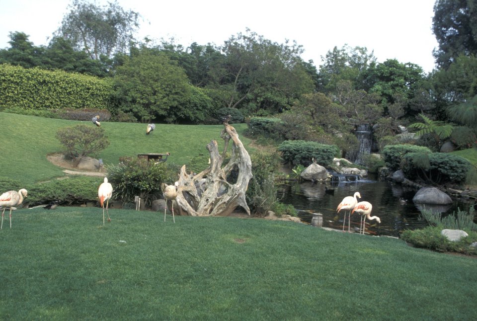 Στα άδυτα της έπαυλης του Playboy [εικόνες+βίντεο]  | iefimerida.gr 5