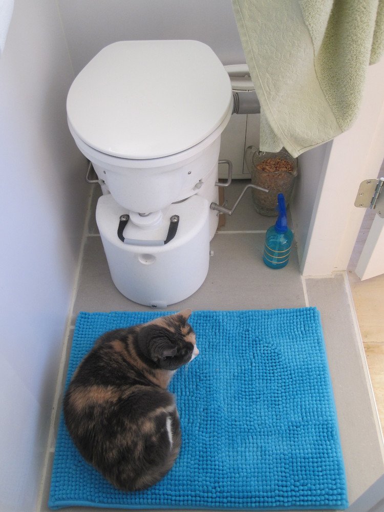 Φίνο, λειτουργικό και φθηνό: Ενα σπίτι 58 τ.μ. και κόστους 28.000 ευρώ [εικόνες]  | iefimerida.gr 7