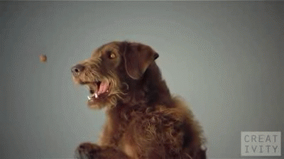 Η ζωή σε άλλες ταχύτητες: Γιατί μερικά πράγματα είναι πολύ πιο διασκεδαστικά σε αργή κίνηση [gif] | iefimerida.gr 3