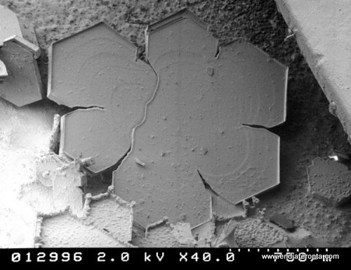 Έτσι φαίνονται οι νιφάδες χιονιού στο μικροσκόπιο [εικόνες]  | iefimerida.gr 0