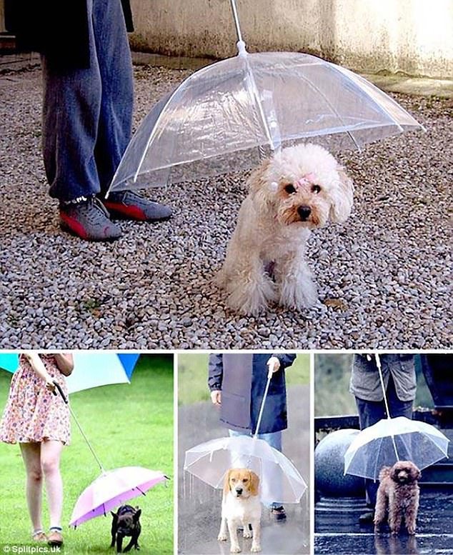 15 έξυπνες λύσεις για καθημερινά προβλήματα [εικόνες] | iefimerida.gr 10