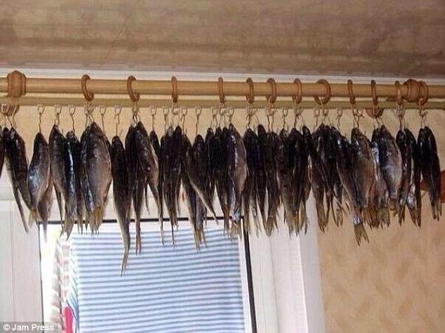 15 έξυπνες λύσεις για καθημερινά προβλήματα [εικόνες] | iefimerida.gr 3