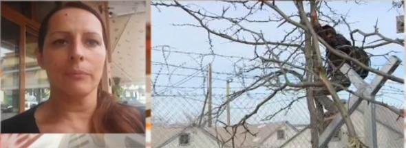 Δήμαρχος Ειδομένης: Ελληνες παρακινούν τους πρόσφυγες σε διαμαρτυρίες - Δεν αντέχουμε άλλο | iefimerida.gr 0