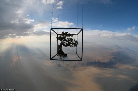 Η... διαστημική άποψη της τέχνης: Φυτά και λουλούδια αιωρούνται στη στρατόσφαιρα [εικόνες] | iefimerida.gr 1