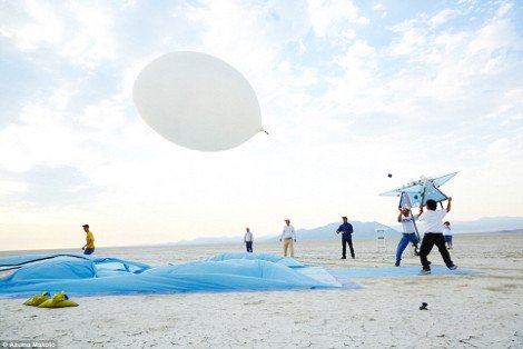 Η... διαστημική άποψη της τέχνης: Φυτά και λουλούδια αιωρούνται στη στρατόσφαιρα [εικόνες] | iefimerida.gr 3