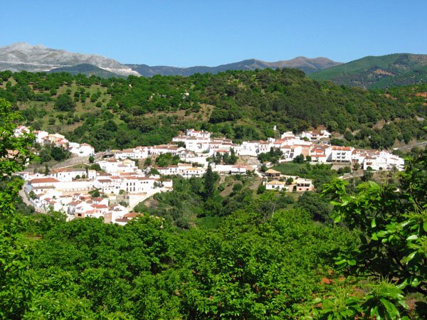 Απίστευτη ιστορία: Γιατί βάφτηκε μπλε ένα χωριό στην Ισπανία και γέμισε τουρίστες [εικόνες] | iefimerida.gr 6