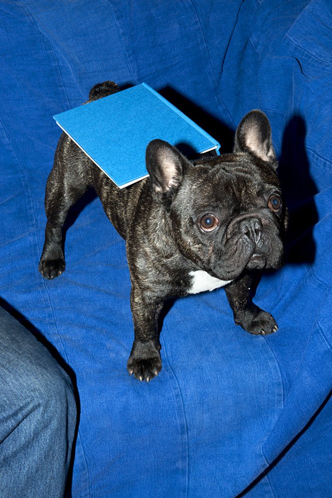 Πώς να εκδώσετε το δικό σας φωτογραφικό λεύκωμα -Workshop στο Atopos, δωρεάν [εικόνες] | iefimerida.gr 0