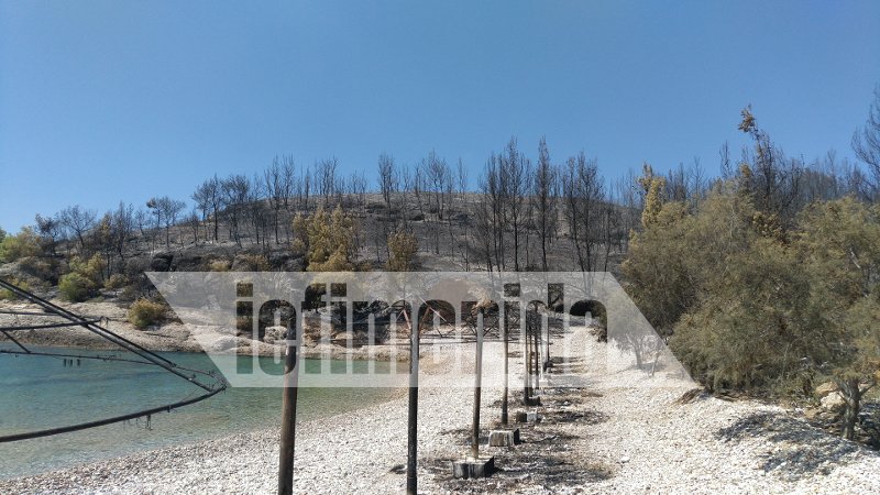 Η φωτιά στις Σπέτσες έκαψε την παραλία Ξυλοκέριζα -Ελιωσαν ομπρέλες και ξαπλώστρες [εικόνες] | iefimerida.gr 0