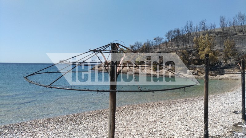 Η φωτιά στις Σπέτσες έκαψε την παραλία Ξυλοκέριζα -Ελιωσαν ομπρέλες και ξαπλώστρες [εικόνες] | iefimerida.gr 1