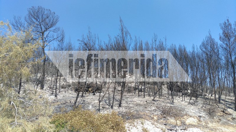 Η φωτιά στις Σπέτσες έκαψε την παραλία Ξυλοκέριζα -Ελιωσαν ομπρέλες και ξαπλώστρες [εικόνες] | iefimerida.gr 2