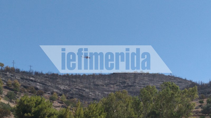 Η φωτιά στις Σπέτσες έκαψε την παραλία Ξυλοκέριζα -Ελιωσαν ομπρέλες και ξαπλώστρες [εικόνες] | iefimerida.gr 3