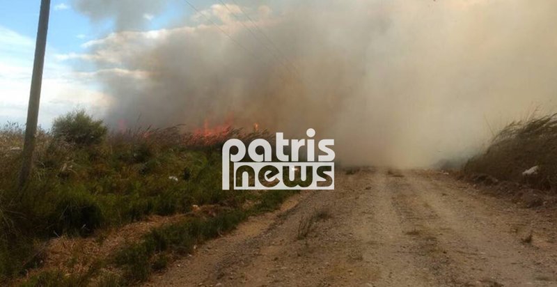 Ισχυροί άνεμοι δυσκολεύουν σε μεγάλο βαθμό το έργο των πυροσβεστών