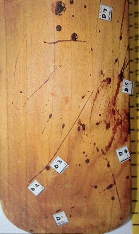 Το αιματοκυλισμένο σπίτι του Πιστόριους -Τι είδαν οι αστυνομικοί όταν μπήκαν σε αυτό μετά το φόνο [εικόνες] | iefimerida.gr 4