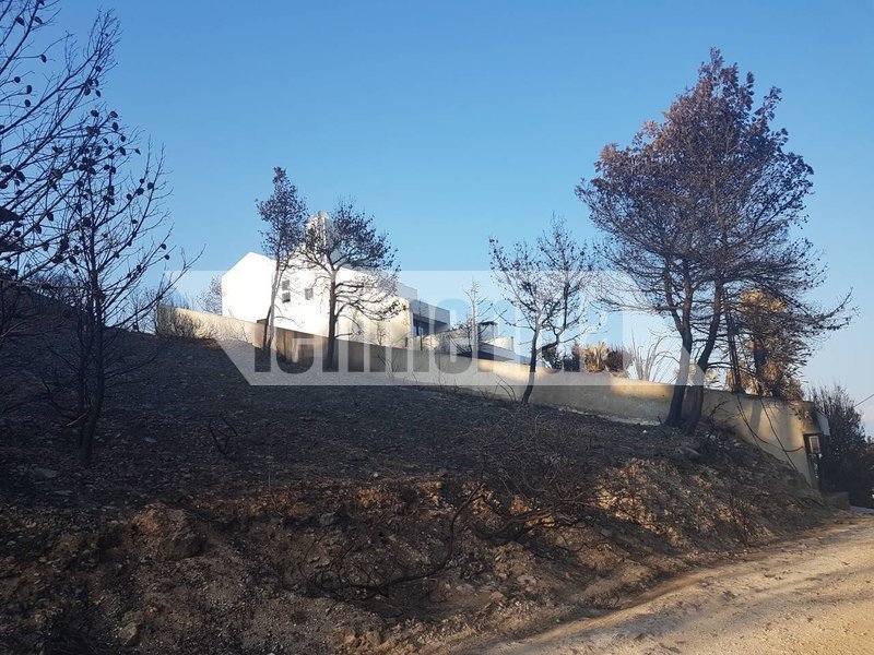 Ενώ όλα γύρω κάηκαν, το σπίτι του Ηλία Ψινάκη τη γλίτωσε από τη φωτιά [εικόνες] | iefimerida.gr 4