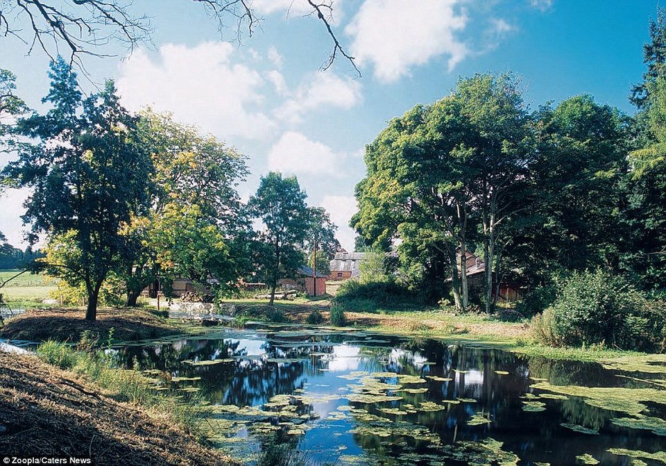 Δική σας με 5 εκατ. δολάρια αν είστε γενναίοι -Η καταραμένη έπαυλη μετρά 3 θανάτους, μία αυτοκτονία και μία χρεοκοπία [εικόνες] | iefimerida.gr 3