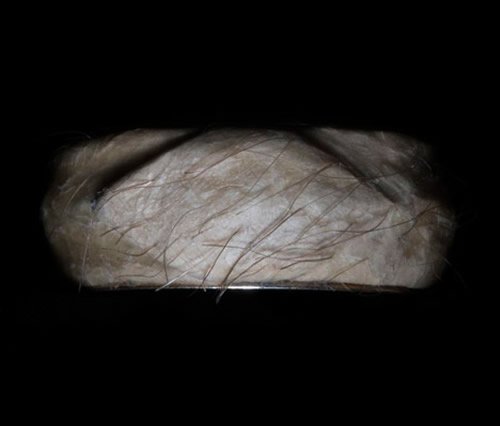 Δαχτυλίδι από ανθρώπινο δέρμα κοστολογείται στα 500.000 δολάρια [βίντεο] | iefimerida.gr 1