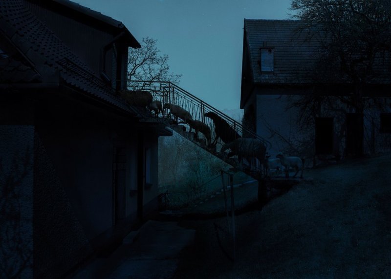 Μοναδικά καρέ: Οι εντυπωσιακές φωτογραφίες που βραβεύτηκαν στον διαγωνισμό του Smithsonian [εικόνες] | iefimerida.gr 6