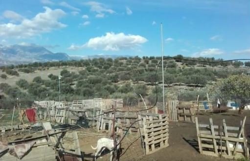 Η πιο... χάι τεκ στάνη βρίσκεται στην Κρήτη -Εχει κάμερες, συναγερμό και 24ωρη online παρακολούθηση! [βίντεο]  | iefimerida.gr 0