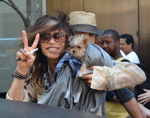 Τα τετράποδα «μωρά» των σταρ - Πιστοί φίλοι ή χνουδωτά αξεσουάρ; [εικόνες] | iefimerida.gr 8