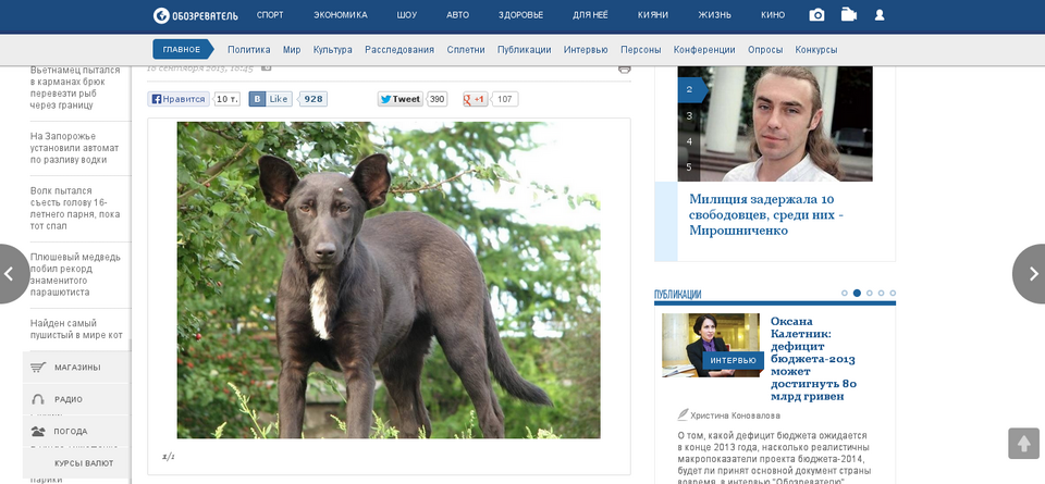 Απίστευτο: Βρέθηκε σκύλος που είναι φτυστός ο Πούτιν [εικόνες] | iefimerida.gr 2