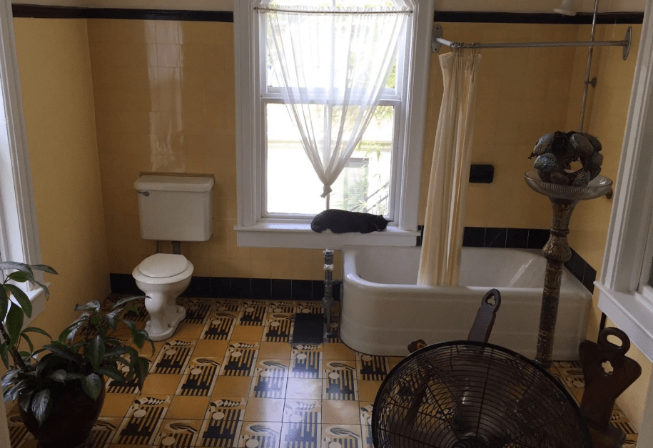 Το σπίτι του Χέμινγουεϊ γλίτωσε από την Ιρμα -Σώες και οι 54 γάτες! [εικόνες&βίντεο] | iefimerida.gr 3