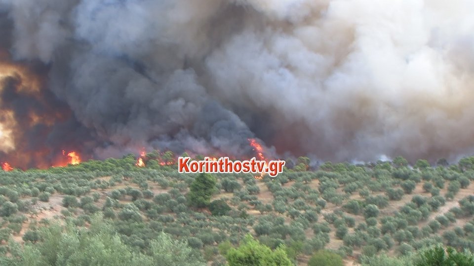 Δύσκολη νύχτα στο Ρυτό Κορινθίας -Μεγάλη πυρκαγιά απειλεί σπίτια, εκκενώθηκε κατασκήνωση [εικόνες & βίντεο] | iefimerida.gr 2