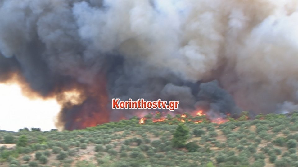 Δύσκολη νύχτα στο Ρυτό Κορινθίας -Μεγάλη πυρκαγιά απειλεί σπίτια, εκκενώθηκε κατασκήνωση [εικόνες & βίντεο] | iefimerida.gr 3