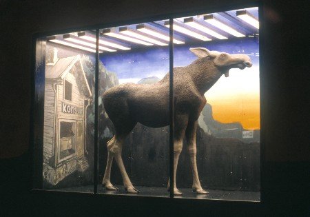 Ουράνιο Τόξο στα έγκατα της Γης - Δείτε το εντυπωσιακό μετρό της Στοκχόλμης [εικόνες] | iefimerida.gr 2