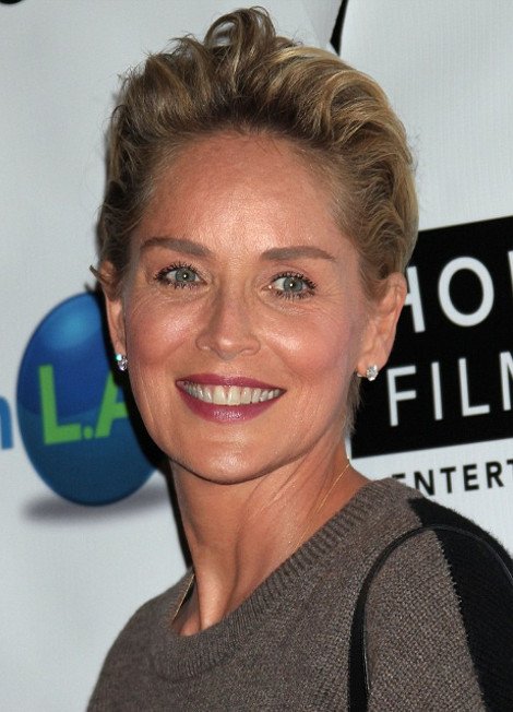 Μόνο η Σάρον Στόουν στα 56 της μπορεί να ακτινοβολεί φορώντας ρούχα έφηβης [εικόνες] | iefimerida.gr 3