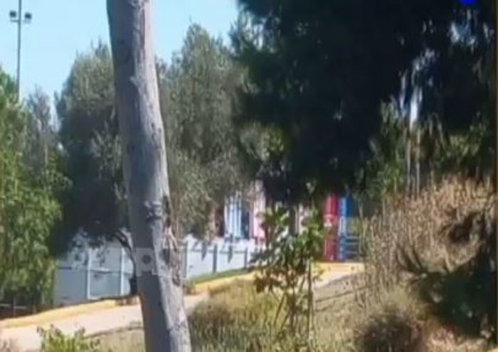 Το σκηνικό του Survivor στήνεται στο Αλσος Βεΐκου -Ολα κόκκινα και μπλε για τους τελικούς [εικόνες] | iefimerida.gr 3