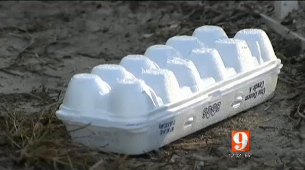 Πρωτοφανές έγκλημα: 15χρονος δέχθηκε 13 πυροβολισμούς επειδή πέταξε αυγά σε αυτοκίνητο [εικόνες] | iefimerida.gr 1