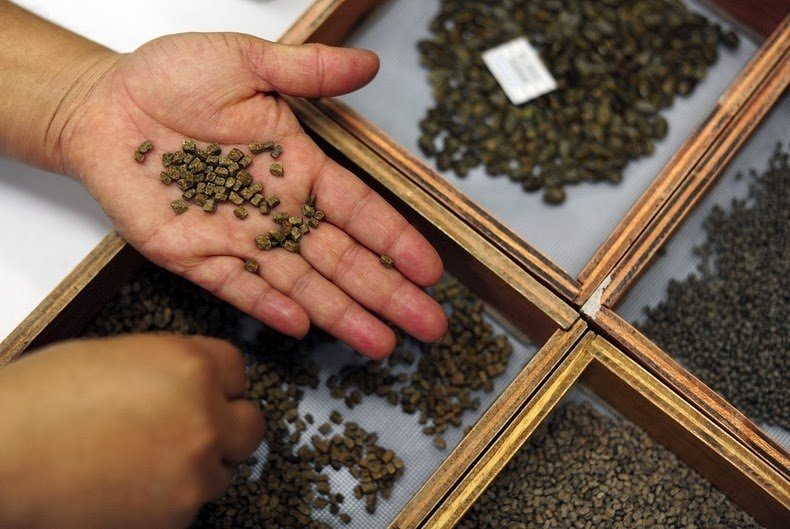 Η μεγαλύτερη σιταποθήκη στη Νορβηγία που φυλάει όλους τους καρπούς, για το τέλος του κόσμου [εικόνες] | iefimerida.gr 11