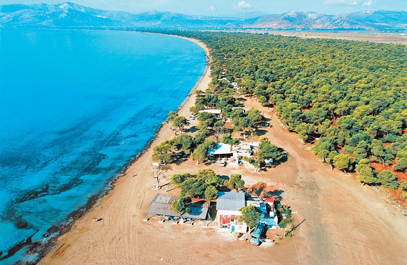 Ελληνικό Λας Βέγκας στον Σχινιά ετοιμάζει ο Ηλίας Ψινάκης -Καζίνο, σπα και βίλες [εικόνες] | iefimerida.gr 0