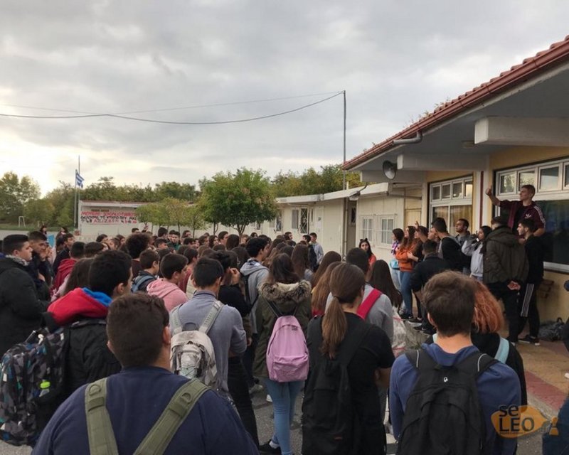 Τόσο έξω όσο και μέσα στις τάξεις υπάρχουν δεκάδες σκουλήκια που απειλούν την υγεία των παιδιών, με αποτέλεσμα οι μαθητές να αναγκάζονται να ψεκάζουν τους χώρους με ειδικά φάρμακα.
