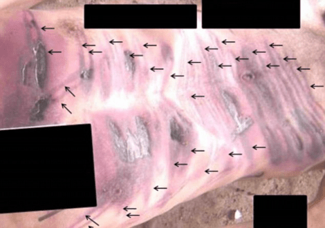 Ηλεκτροσόκ στραγγαλισμοί, εκτελέσεις: Φρικτές εικόνες από εγκλήματα ανδρών του Ασαντ [εικόνες&βίντεο] | iefimerida.gr 4