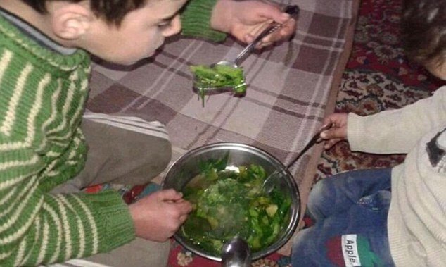 Η πόλη των «ζωντανών-νεκρών» στη Συρία -Μοντάγια, εκεί που άνθρωποι τρώνε χώμα, γρασίδι και κατοικίδια [εικόνες] | iefimerida.gr 3