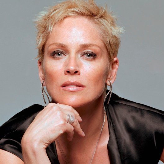 Η Σάρον Στόουν εξομολογείται: Δε μου την πέφτουν οι άνδρες - Φοβούνται [εικόνες] | iefimerida.gr 3