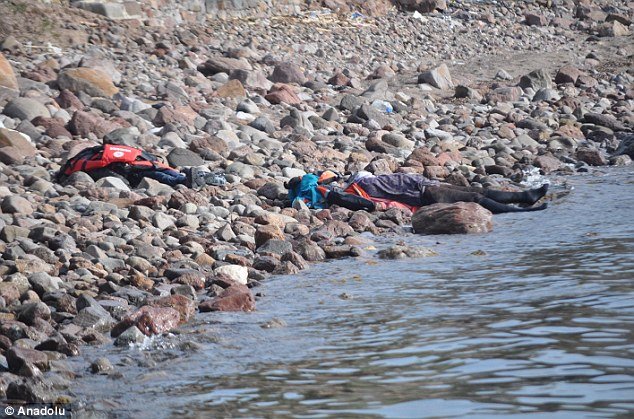 Νέο παγκόσμιο σοκ: Συγκλονιστικές εικόνες με νεκρά προσφυγόπουλα στην ακτή [εικόνες] | iefimerida.gr 7